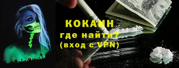 spice Богородицк