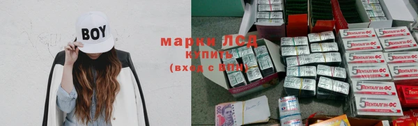 spice Богородицк