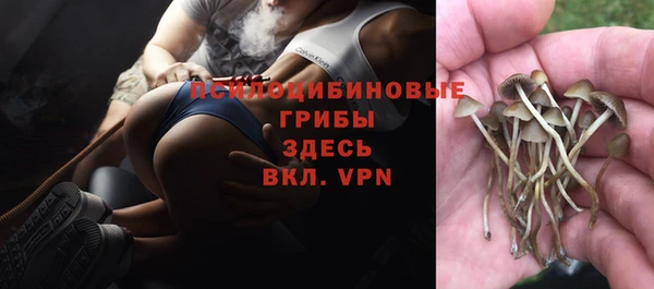 меф Богородск