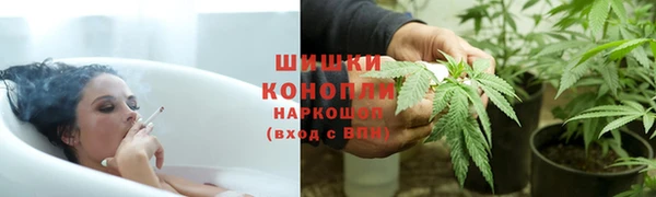 spice Богородицк