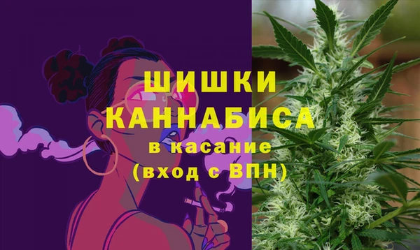spice Богородицк