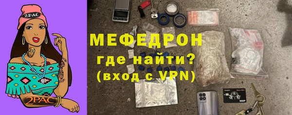 spice Богородицк