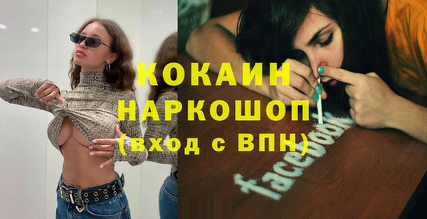 spice Богородицк