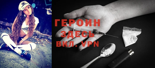 spice Богородицк