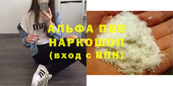 spice Богородицк