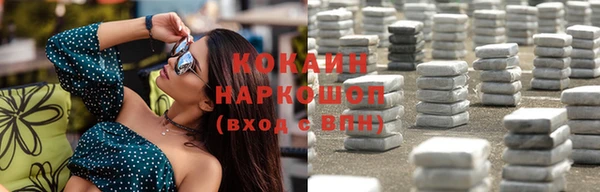 spice Богородицк