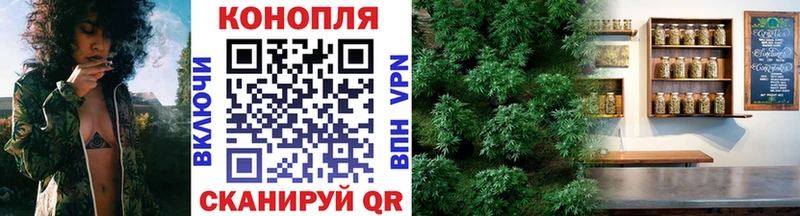Шишки марихуана план  как найти закладки  Светогорск 